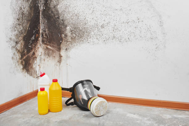 Best Mold Removal and Inspection  in Atlantic, IA