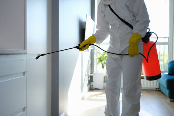 Office Mold Removal Services in Atlantic, IA