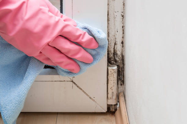 Best Office Mold Removal Services  in Atlantic, IA
