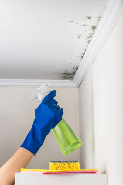 Best Residential Mold Removal  in Atlantic, IA
